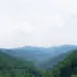 木材の産地
